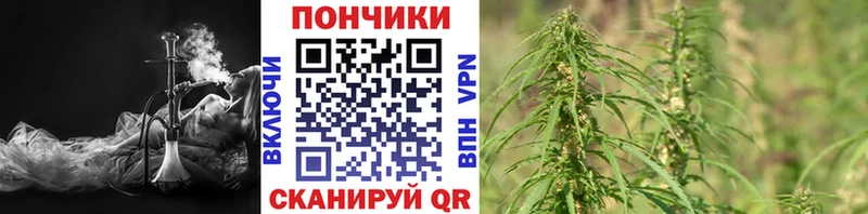 Купить наркотики Соль-Илецк Каннабис  Cocaine  Гашиш  Alpha PVP  АМФ  Галлюциногенные грибы  Мефедрон 