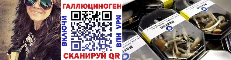 ссылка на мегу ТОР  Соль-Илецк  Псилоцибиновые грибы мухоморы  купить  